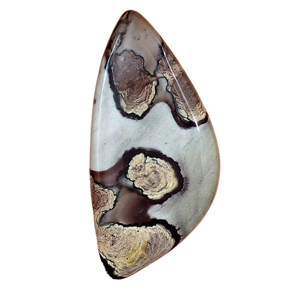 Coffee Bean Jasper 42.7x20.7x4 mm Fancy Gemstone LS01914-28