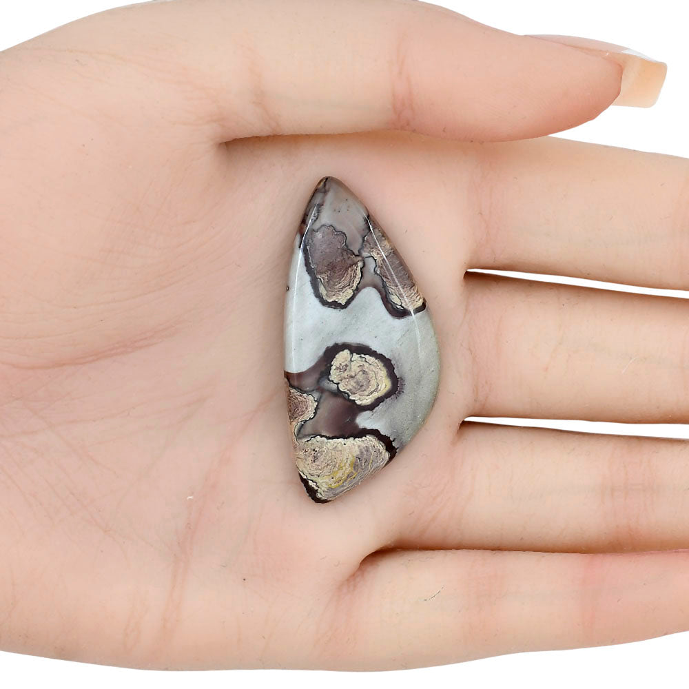 Coffee Bean Jasper 42.7x20.7x4 mm Fancy Gemstone LS01914-28