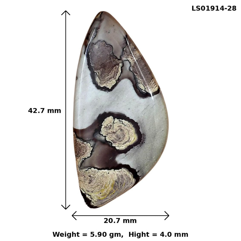 Coffee Bean Jasper 42.7x20.7x4 mm Fancy Gemstone LS01914-28