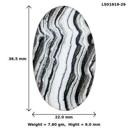Crazy Lace Agate 36.5x22x6 mm Oval Gemstone LS01919-29