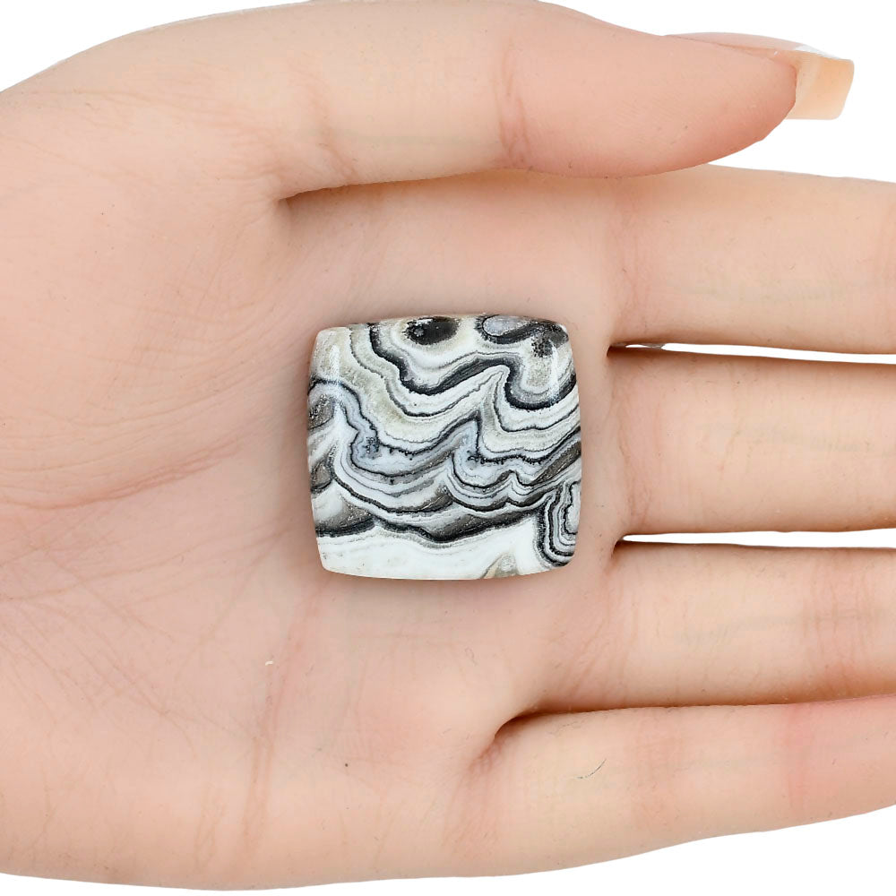 Crazy Lace Agate 27.4x26.5x6.3 mm Baguette Gemstone LS01929-29