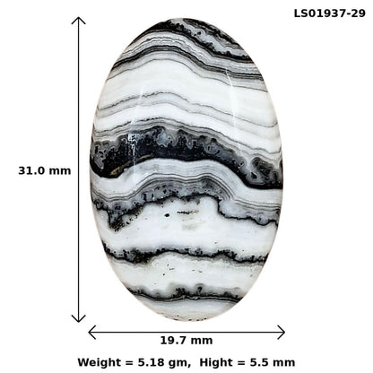 Crazy Lace Agate 31x19.7x5.5 mm Oval Gemstone LS01937-29