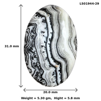 Crazy Lace Agate 31x20x5.8 mm Oval Gemstone LS01944-29
