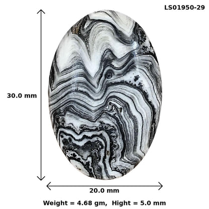 Crazy Lace Agate 30x20x5 mm Oval Gemstone LS01950-29