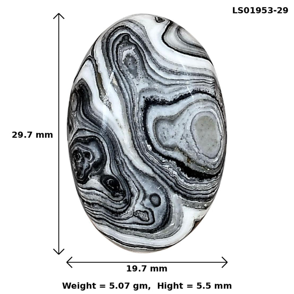 Crazy Lace Agate 29.7x19.7x5.5 mm Oval Gemstone LS01953-29