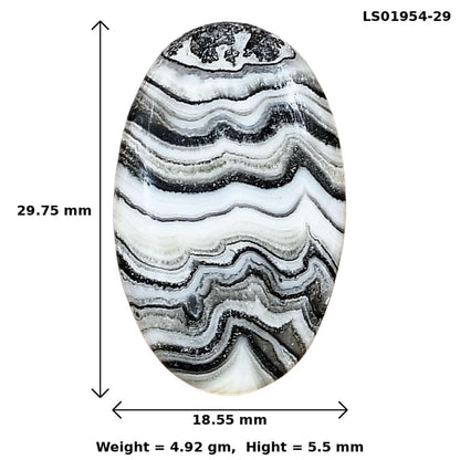 Crazy Lace Agate 29.75x18.55x5.5 mm Oval Gemstone LS01954-29