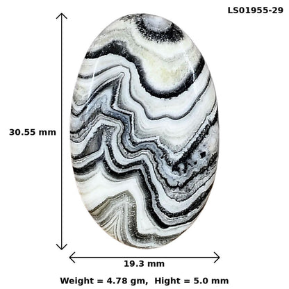 Crazy Lace Agate 30.55x19.3x5 mm Oval Gemstone LS01955-29