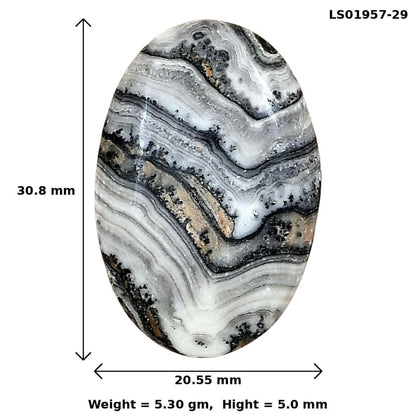 Crazy Lace Agate 30.8x20.55x5 mm Oval Gemstone LS01957-29