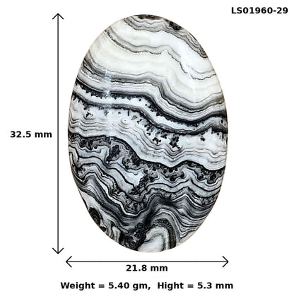 Crazy Lace Agate 32.5x21.8x5.3 mm Oval Gemstone LS01960-29