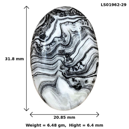 Crazy Lace Agate 31.8x20.85x6.4 mm Oval Gemstone LS01962-29