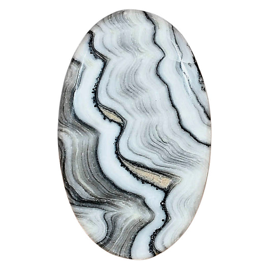 Crazy Lace Agate 35.75x21.9x5.5 mm Oval Gemstone LS01978-29