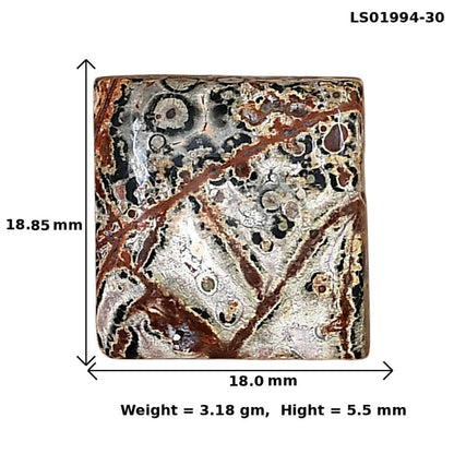 Leopard Skin Jasper 18.85x18x5.5 mm Baguette Gemstone LS01994-30