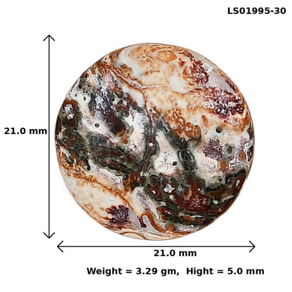 Leopard Skin Jasper 21x21x5 mm Round Gemstone LS01995-30