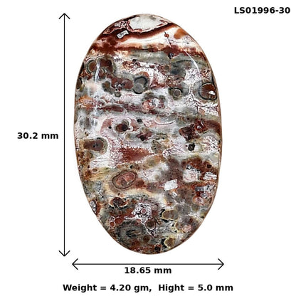 Leopard Skin Jasper 30.2x18.65x5 mm Oval Gemstone LS01996-30