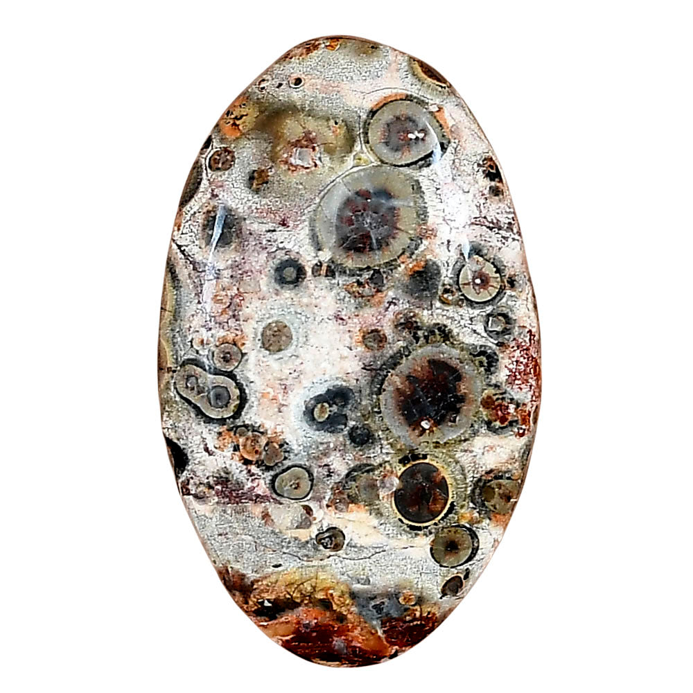 Leopard Skin Jasper 33.4x20.35x5.5 mm Oval Gemstone LS02002-30