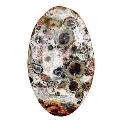 Leopard Skin Jasper 33.4x20.35x5.5 mm Oval Gemstone LS02002-30