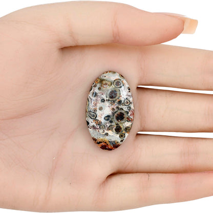 Leopard Skin Jasper 33.4x20.35x5.5 mm Oval Gemstone LS02002-30