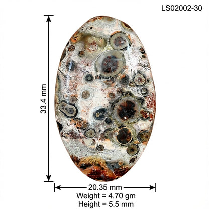 Leopard Skin Jasper 33.4x20.35x5.5 mm Oval Gemstone LS02002-30