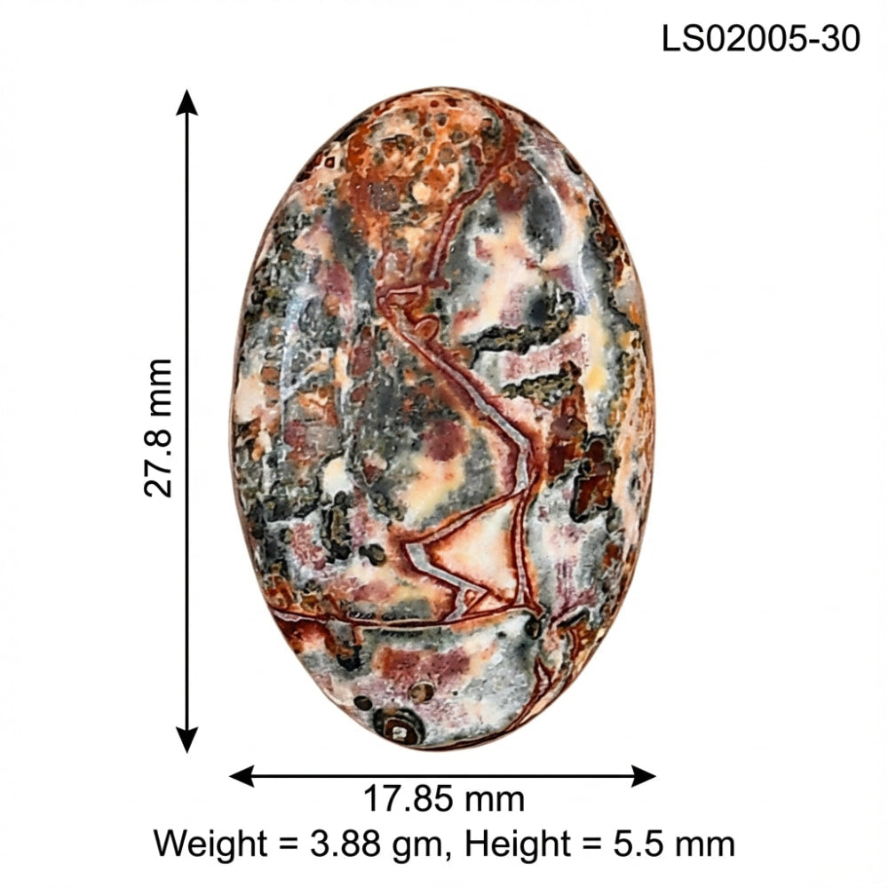 Leopard Skin Jasper 27.8x17.85x5.5 mm Oval Gemstone LS02005-30