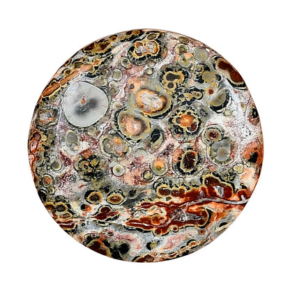 Leopard Skin Jasper 29.5x29.5x5 mm Round Gemstone LS02006-30
