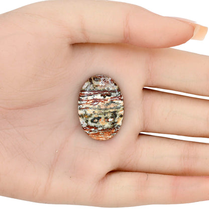Leopard Skin Jasper 28.25x19.75x4.5 mm Oval Gemstone LS02009-30