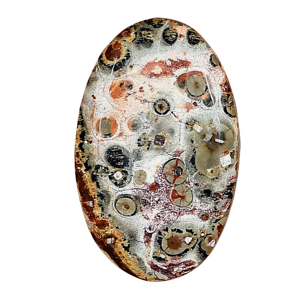 Leopard Skin Jasper 30.35x18.85x5 mm Oval Gemstone LS02011-30