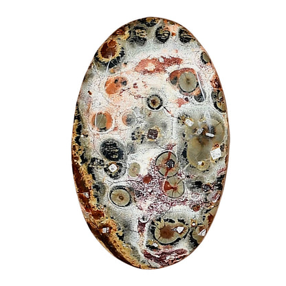 Leopard Skin Jasper 30.35x18.85x5 mm Oval Gemstone LS02011-30
