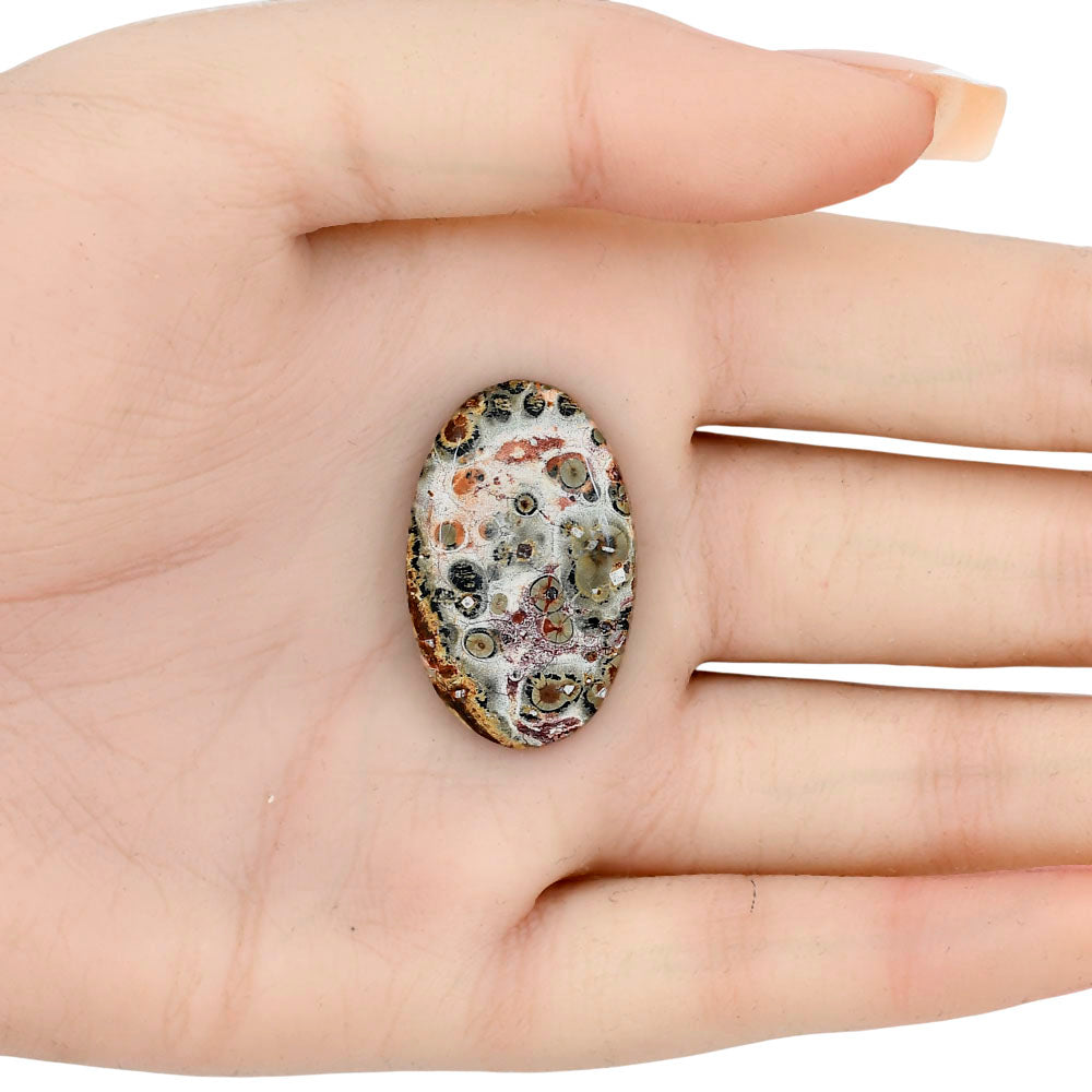 Leopard Skin Jasper 30.35x18.85x5 mm Oval Gemstone LS02011-30