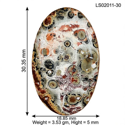 Leopard Skin Jasper 30.35x18.85x5 mm Oval Gemstone LS02011-30