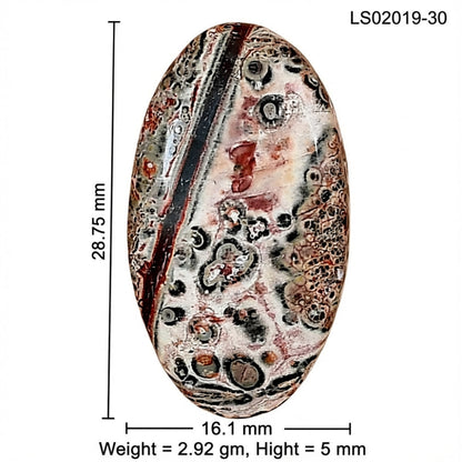 Leopard Skin Jasper 28.75x16.1x5 mm Oval Gemstone LS02019-30