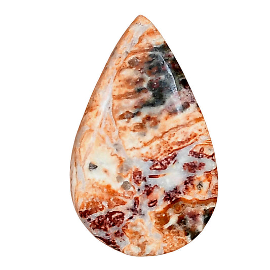 Leopard Skin Jasper 28.45x17.4x5 mm Pear Gemstone LS02026-30