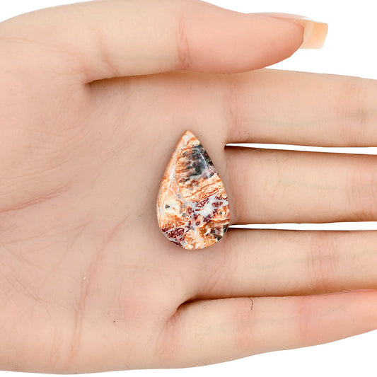 Leopard Skin Jasper 28.45x17.4x5 mm Pear Gemstone LS02026-30