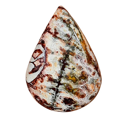Leopard Skin Jasper 27.6x19.25x6 mm Pear Gemstone LS02027-30