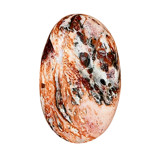 Leopard Skin Jasper 23.8x15x5 mm Oval Gemstone LS02032-30