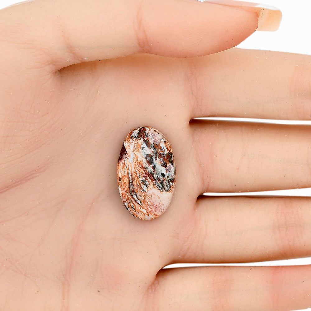 Leopard Skin Jasper 23.8x15x5 mm Oval Gemstone LS02032-30