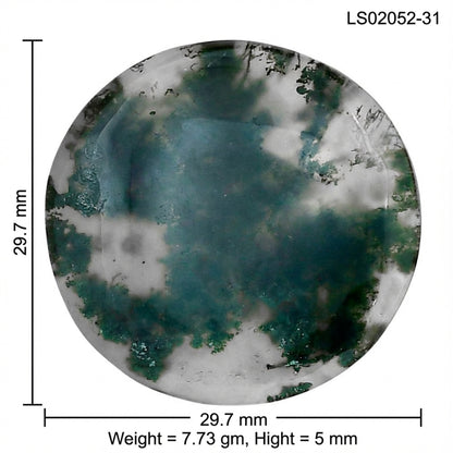 Green Moss Agate 29.7x29.7x5 mm Round Gemstone LS02052-31