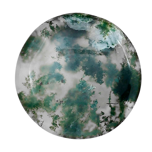 Green Moss Agate 26.2x26.2x4.5 mm Round Gemstone LS02055-31