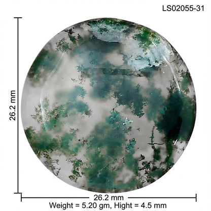 Green Moss Agate 26.2x26.2x4.5 mm Round Gemstone LS02055-31