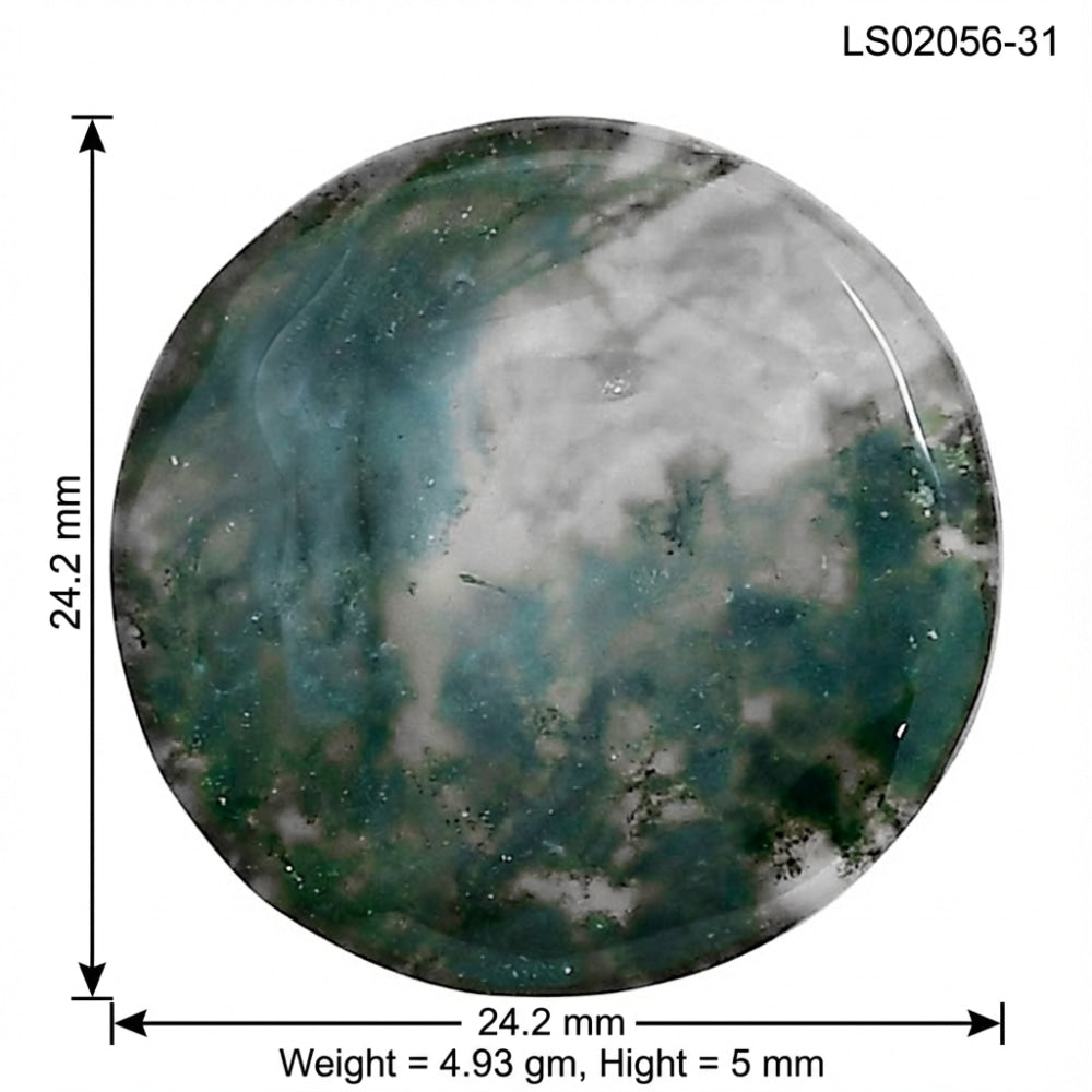 Green Moss Agate 24.2x24.2x5 mm Round Gemstone LS02056-31