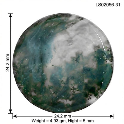Green Moss Agate 24.2x24.2x5 mm Round Gemstone LS02056-31