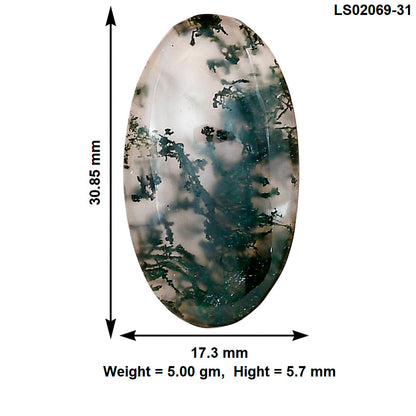 Green Moss Agate 30.85x17.3x5.7 mm Oval Gemstone LS02069-31