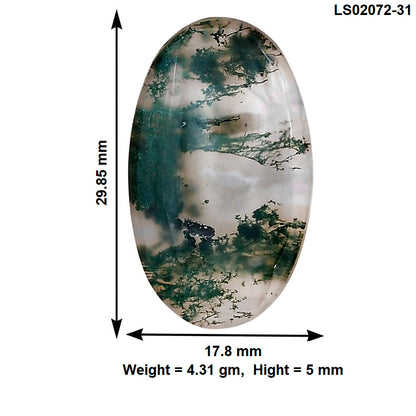 Green Moss Agate 29.85x17.8x5 mm Oval Gemstone LS02072-31