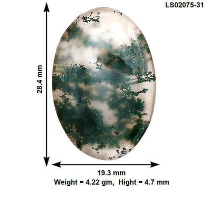 Green Moss Agate 28.4x19.3x4.7 mm Oval Gemstone LS02075-31