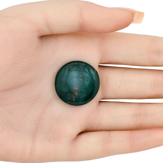 Blood Stone 24.8x24.8x5 mm Round Gemstone LS02094-32