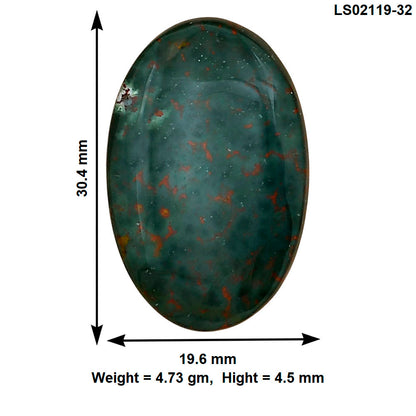 Blood Stone 30.4x19.6x4.5 mm Oval Gemstone LS02119-32