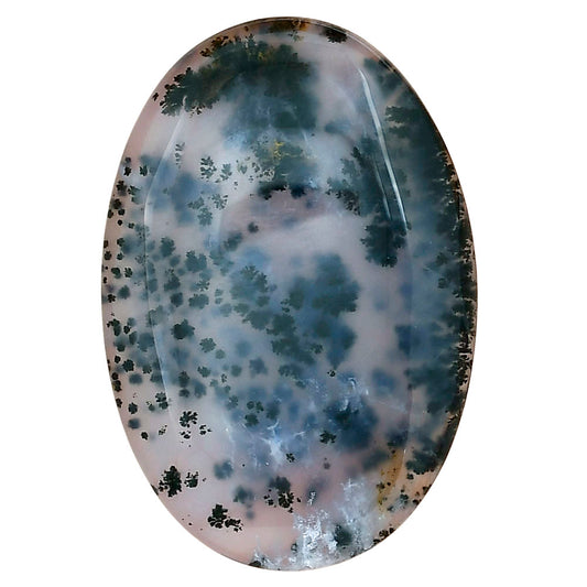 Robinson Ranch Plume Agate 40.7x27.6x5.4 mm Oval Gemstone LS02198-33