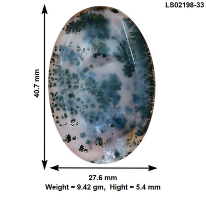 Robinson Ranch Plume Agate 40.7x27.6x5.4 mm Oval Gemstone LS02198-33