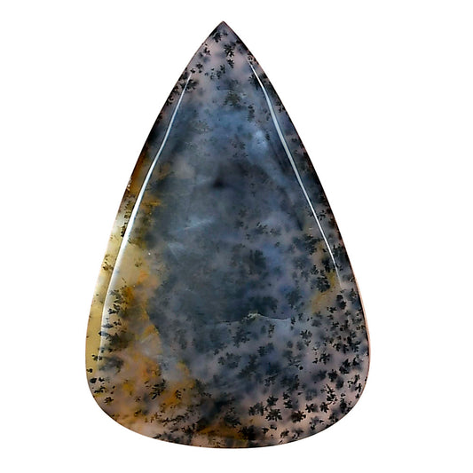 Robinson Ranch Plume Agate 35.3x23.55x5 mm Pear Gemstone LS02200-33