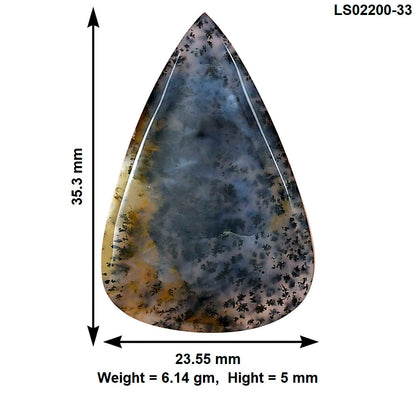 Robinson Ranch Plume Agate 35.3x23.55x5 mm Pear Gemstone LS02200-33