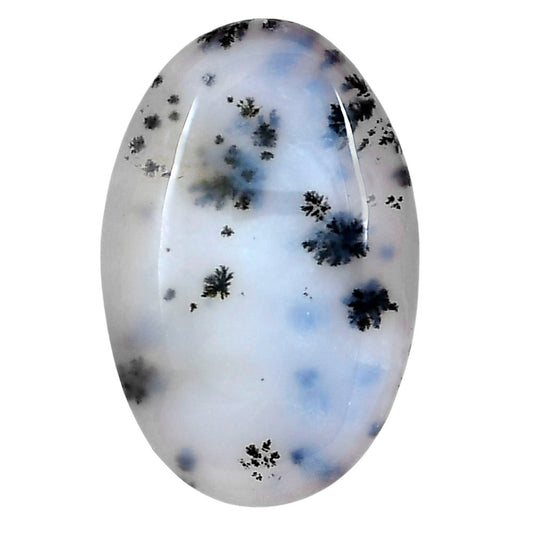 Robinson Ranch Plume Agate 31.25x20.45x5.3 mm Oval Gemstone LS02202-33